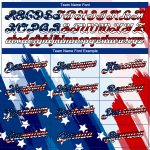 Personalized USA Flag T-Shirt with Custom Name & Number, 3D Royal Red-Black Design, American Flag Fashion Performance Tee