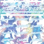 Custom Name and Number Personalized Womens 3D V-Neck Cropped Baseball Jersey Hawaii Palm Trees White Light Blue Personalized